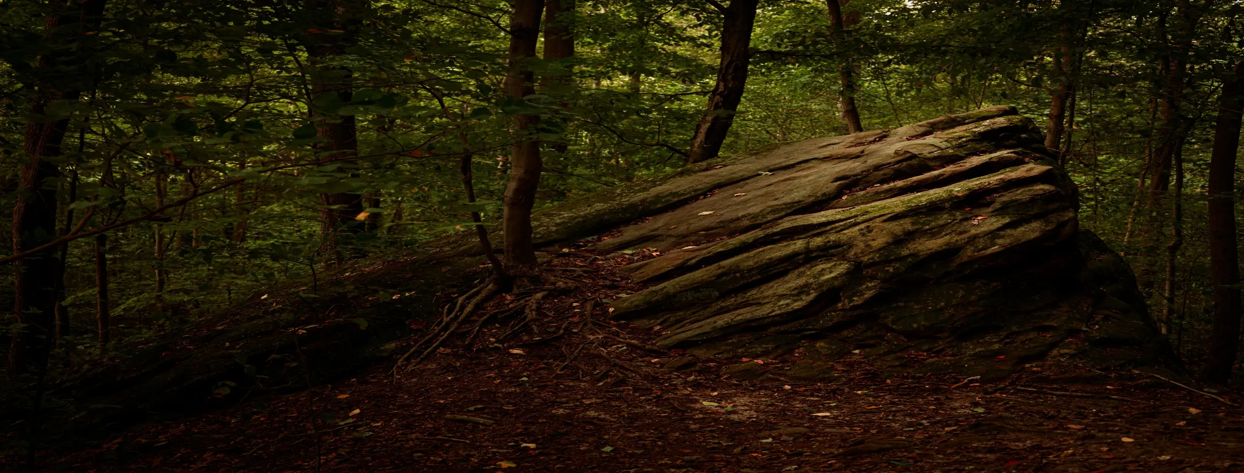 Image for National Park